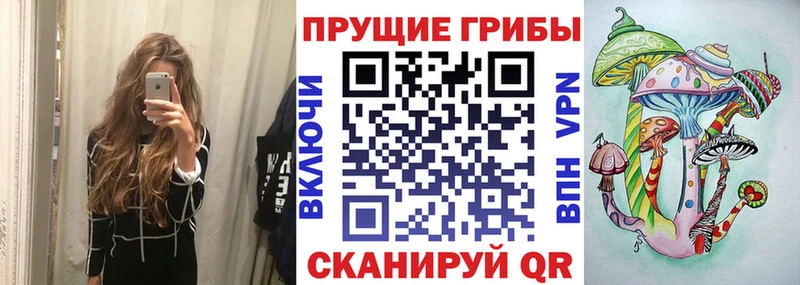 Галлюциногенные грибы MAGIC MUSHROOMS купить наркотики сайты Солнечногорск
