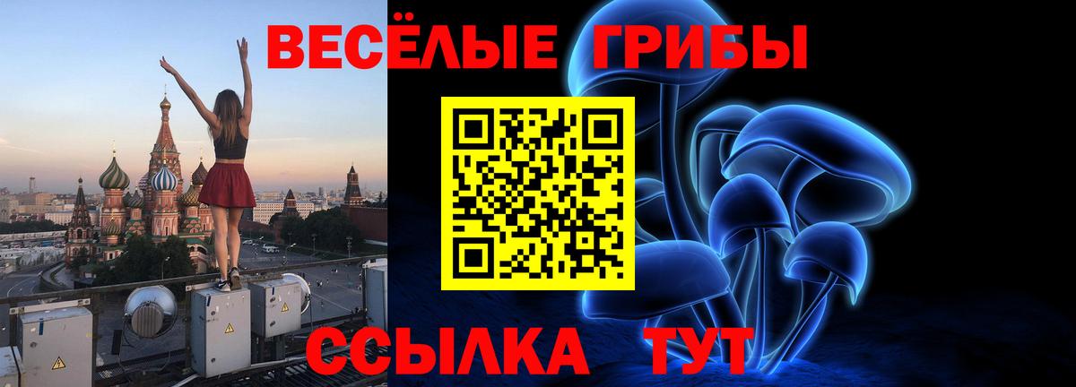 Солнечногорск  купить  цена  Вход с VPN  Псилоцибиновые грибы Cubensis 